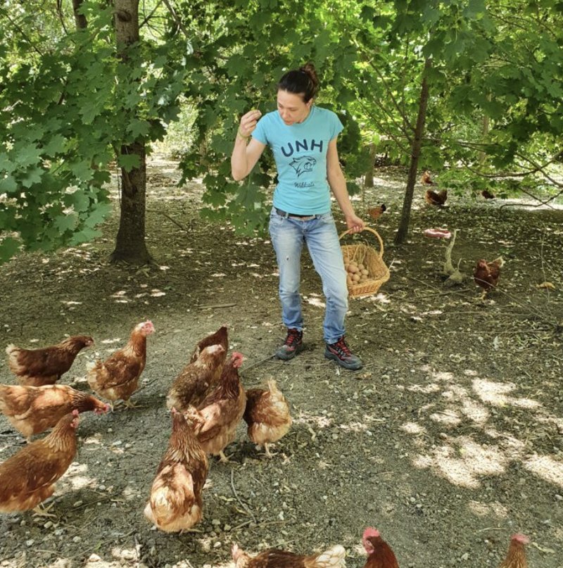 Chicken road a Italy